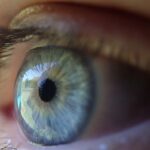 ドライアイの症状について眼科医の診察や検査を受けている患者の目の様子
